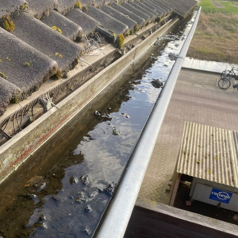 Dakgoot schoonmaken Bilthoven